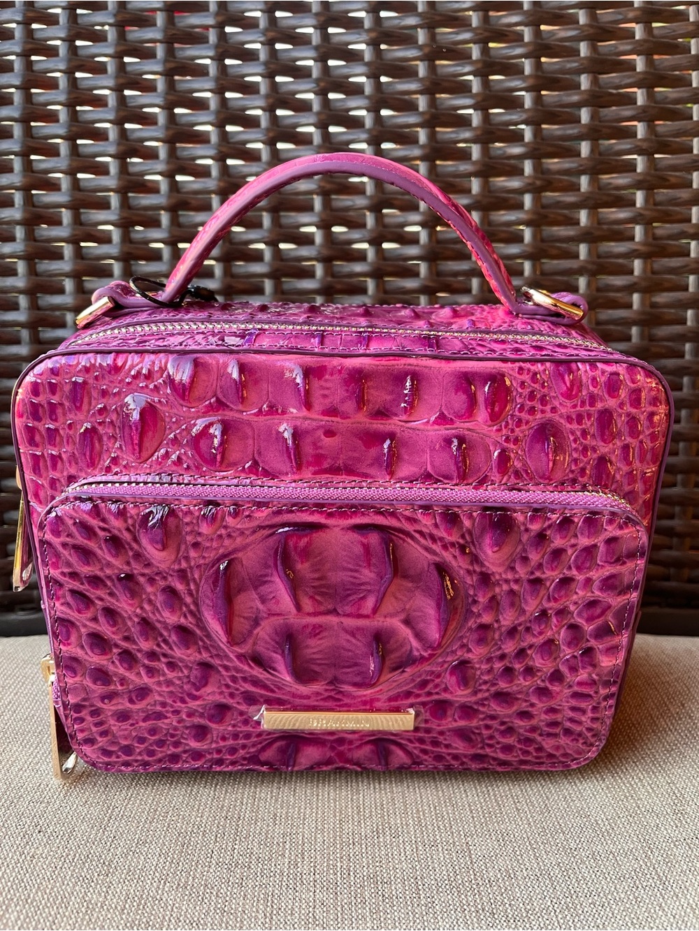 NWT BRAHMIN TORI in DEWBERRY MELBOURNE Crossbody